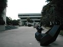 P1010008 (3)